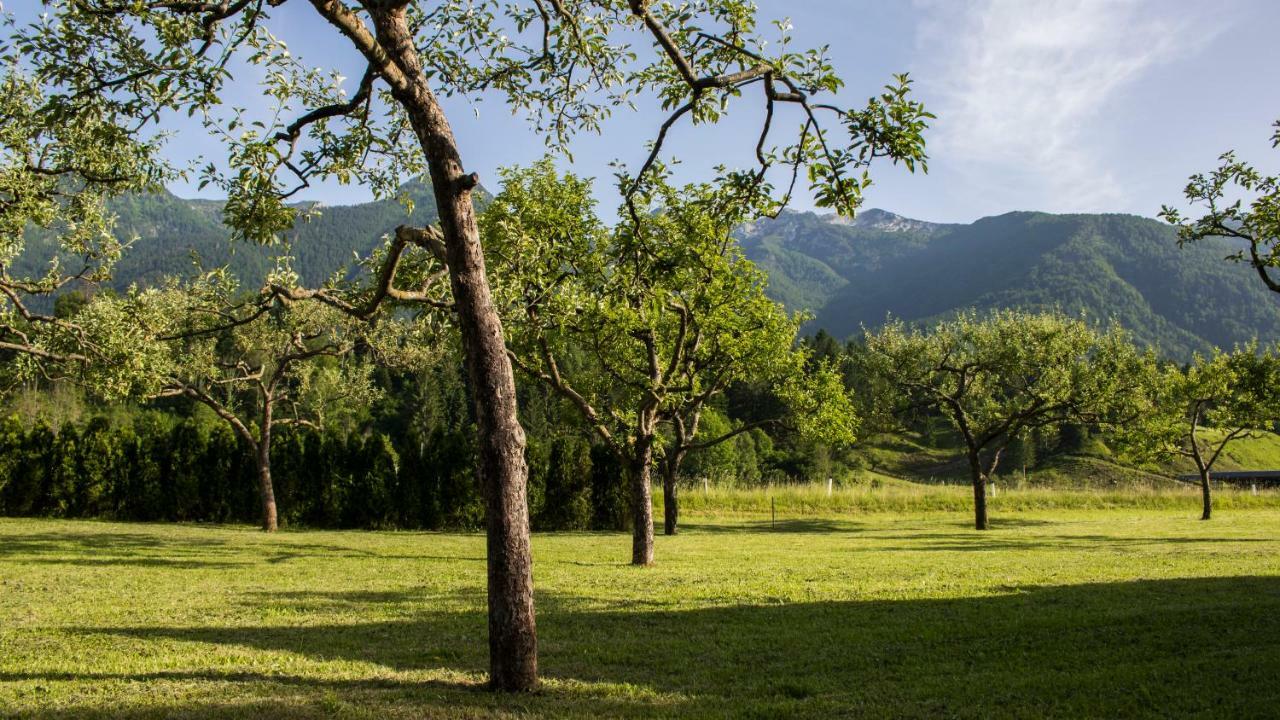 Green Garden Apartments Soklic Bohinj Exteriér fotografie